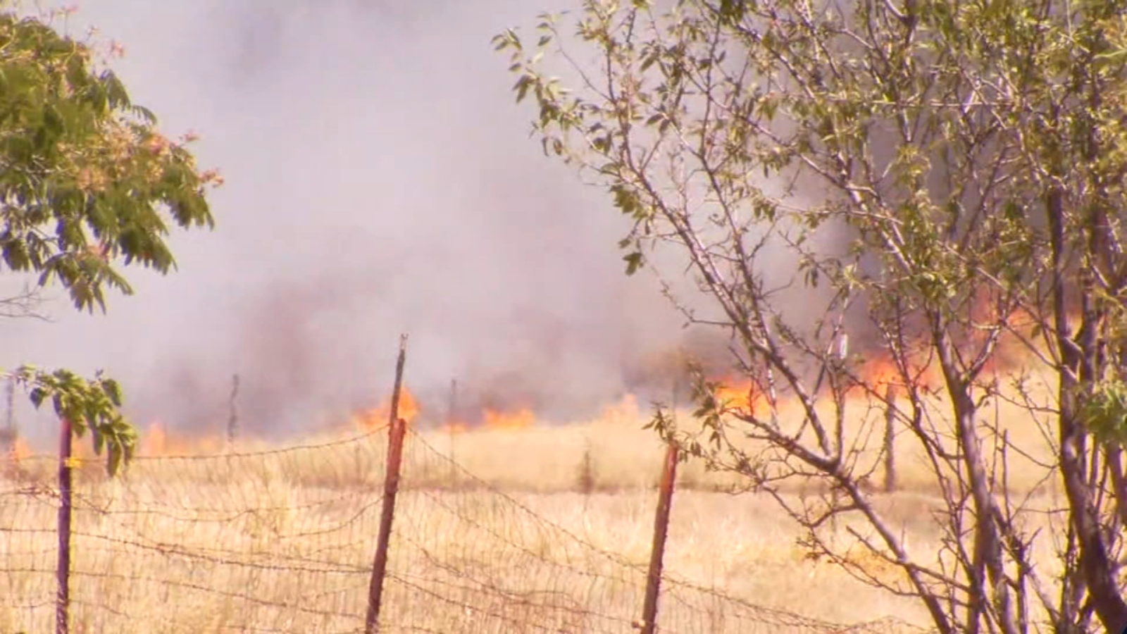 Firefighters put out fire near Fowler and Teague in Fresno County