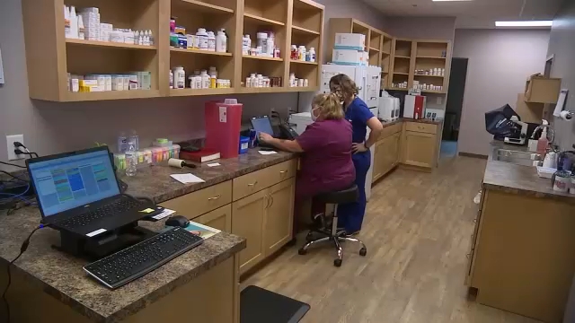 Falconbridge Animal Hospital reopens nearly one year after deadly fire