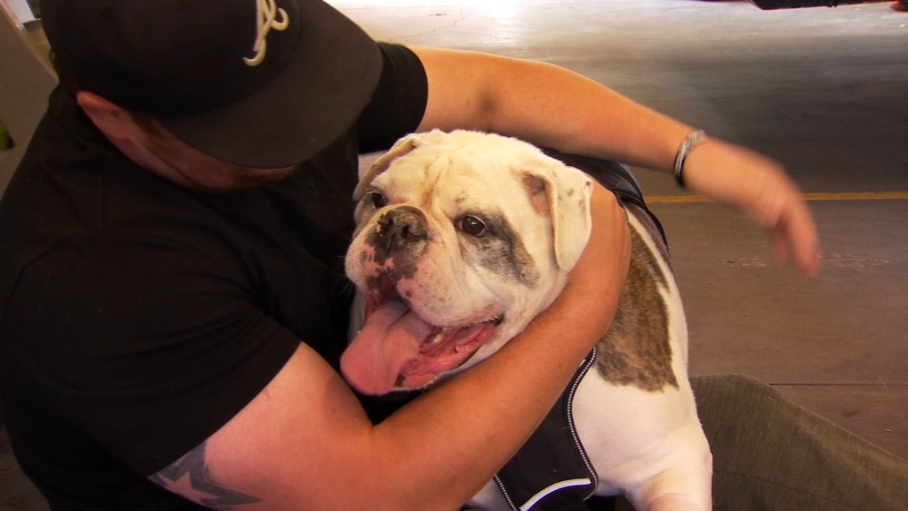 Dog reunites with Fresno firefighters who saved his life