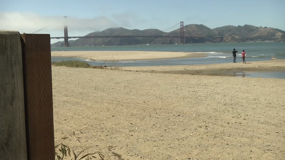 Sea life habitat built into Presidio project
