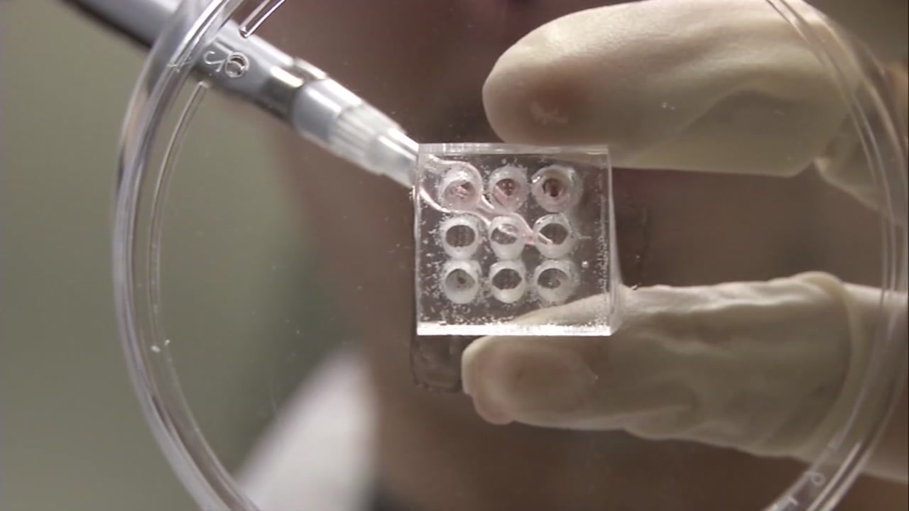 Here's how Bay Area scientists are forecasting US COVID-19 cases