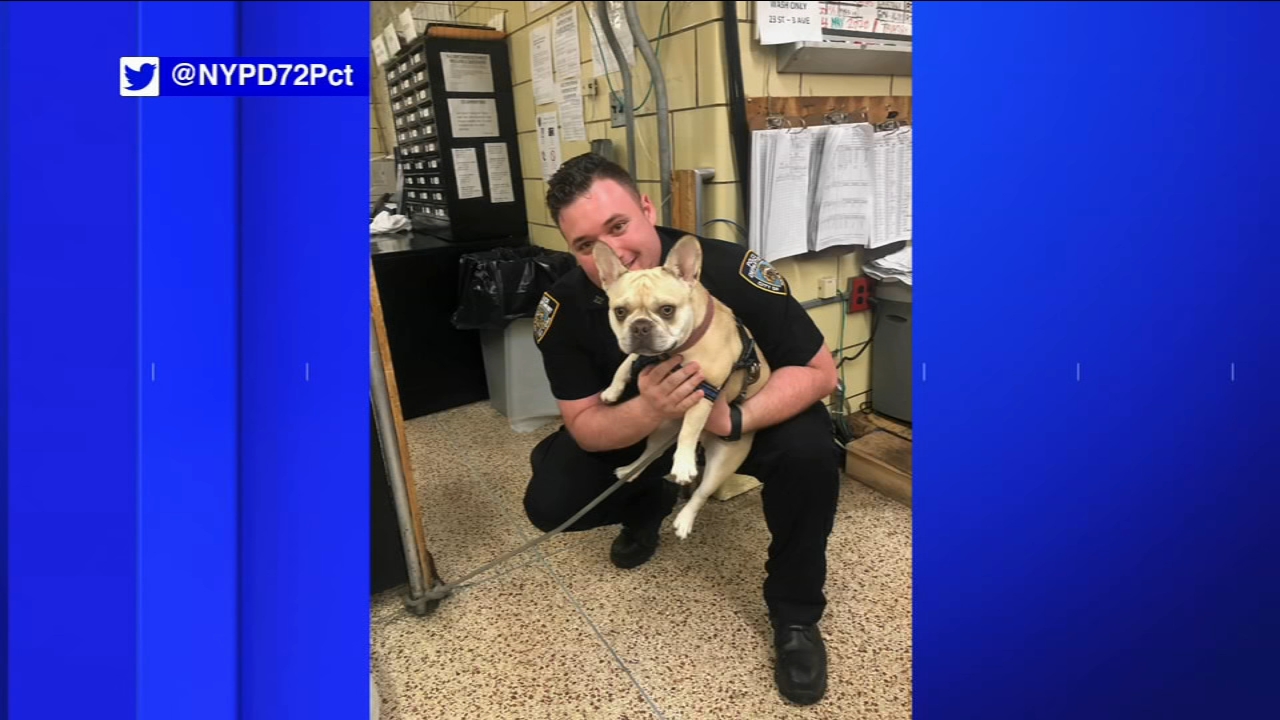 Family reunited with dog stolen in running car in Brooklyn