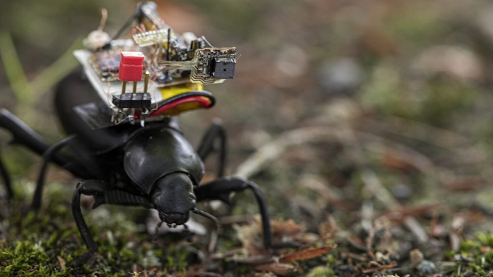 View of Space-Qualified Camera Systems - SAAZ Micro Inc