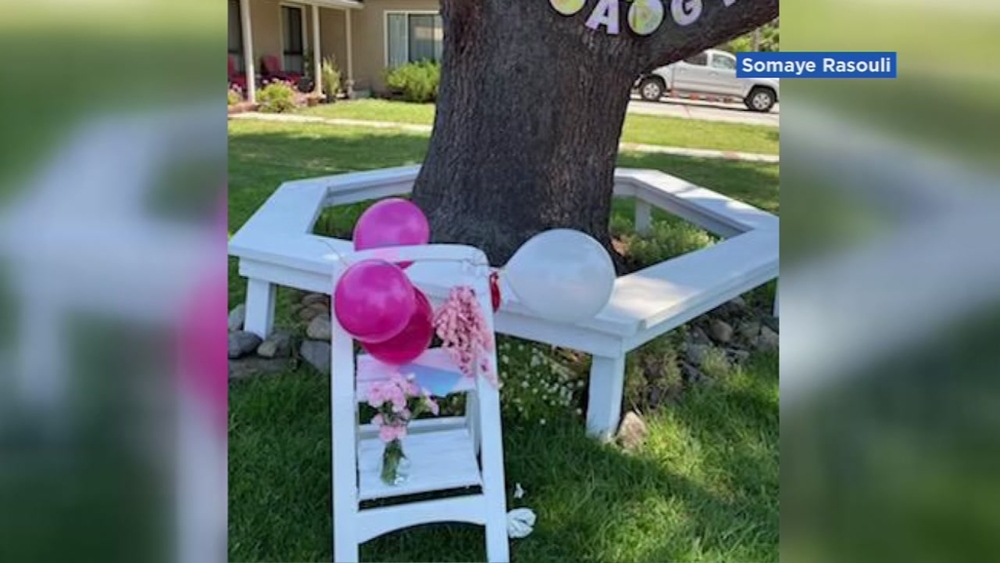 SJ residents plan surprise baby shower for postal worker, decorating her route in an effort that has gone viral