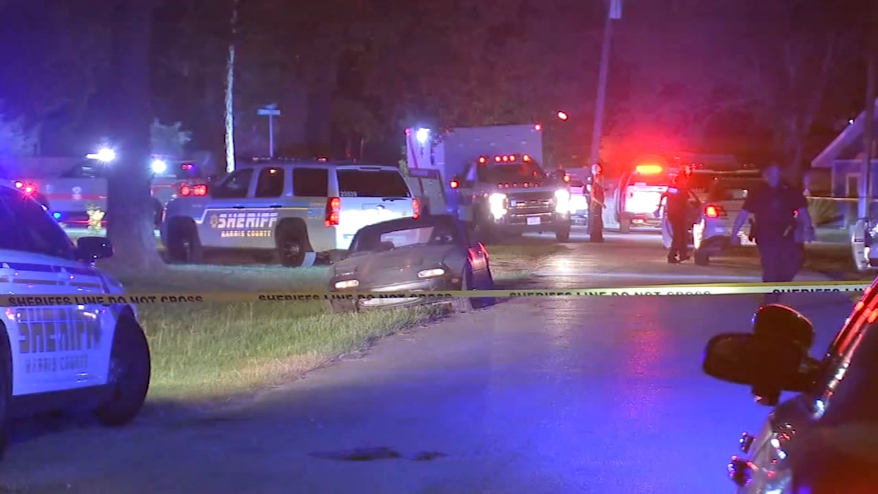 Grandmother shot to death while sleeping, 11-year-old neighbor injured