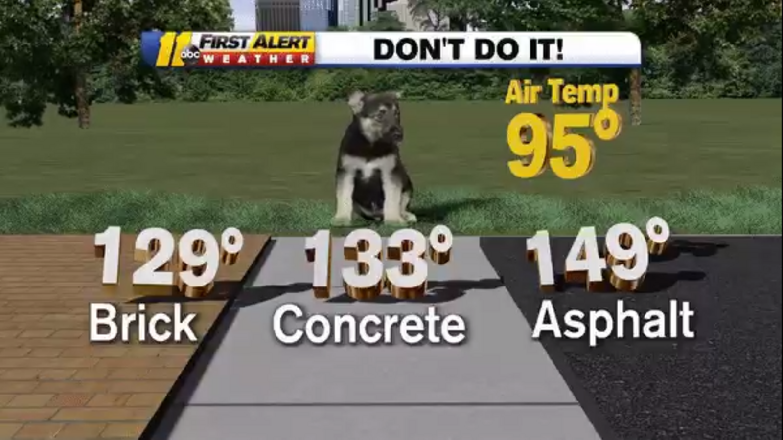 How to keep your dog's paws safe in the summer heat ABC11 RaleighDurham