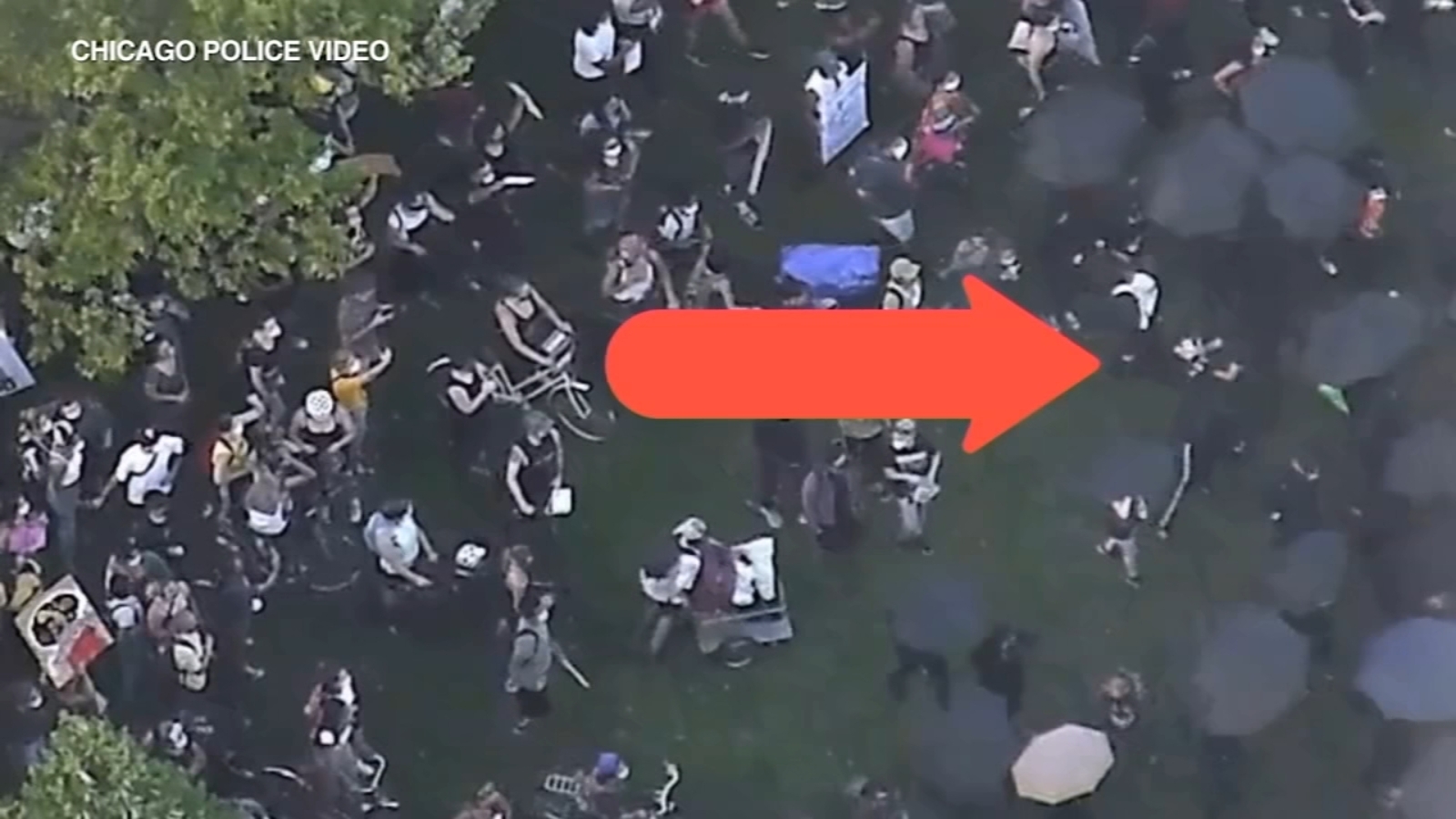 Chicago protest video released by police shows confrontation near Grant