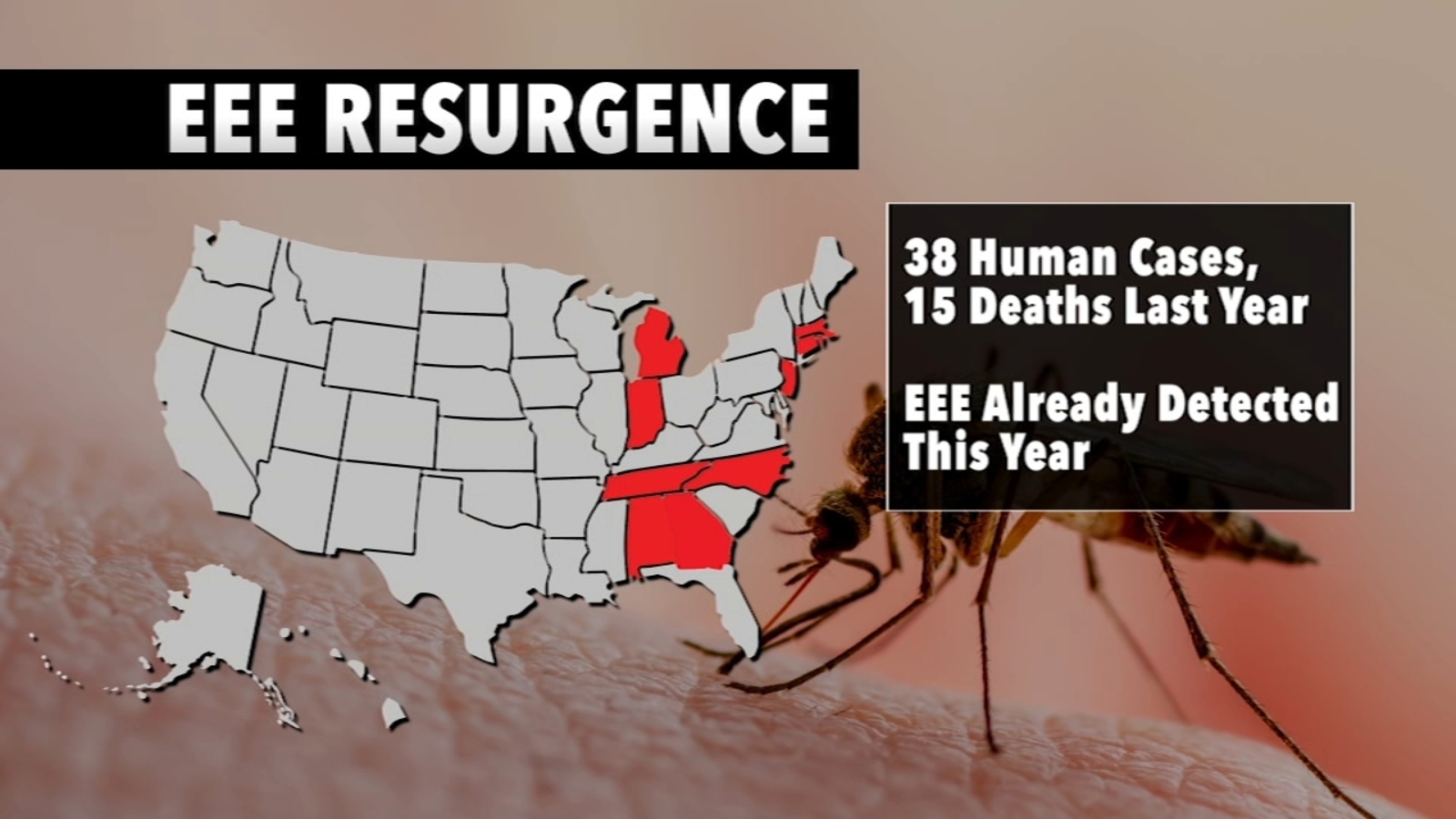 First COVID19, now mosquitoes Experts warn mild winter could mean bad