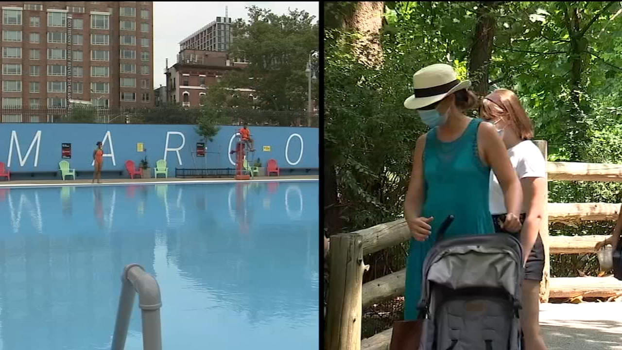 Reopen NYC: Pools and zoos open today