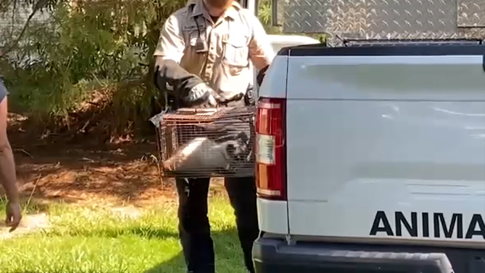 Animal control rescued 13 cats, 1 rabbit from deplorable conditions in