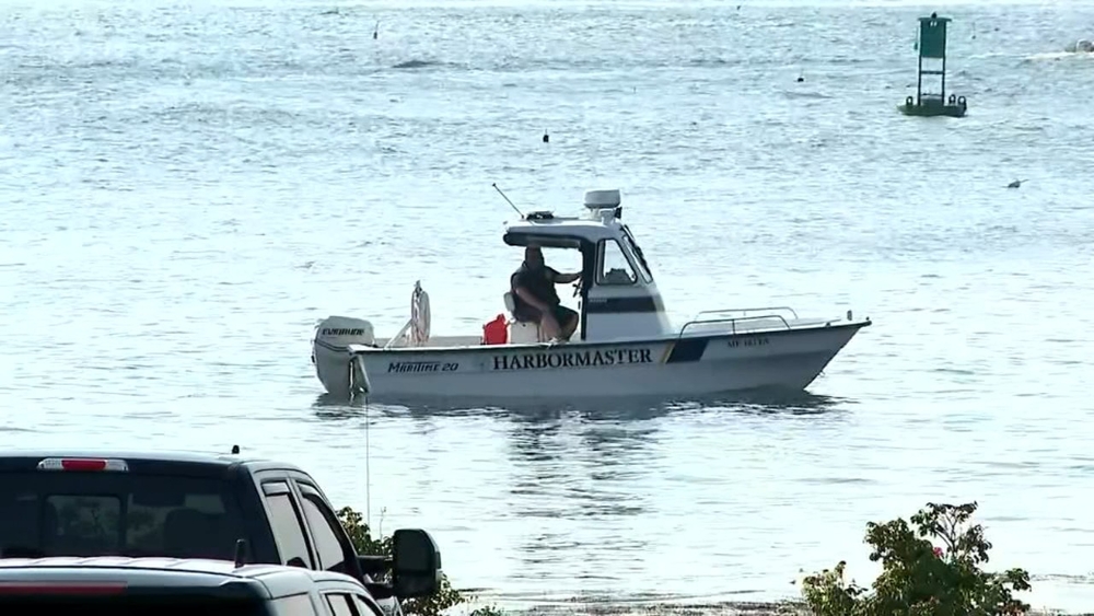 Woman from NYC killed by great white shark off Maine coast