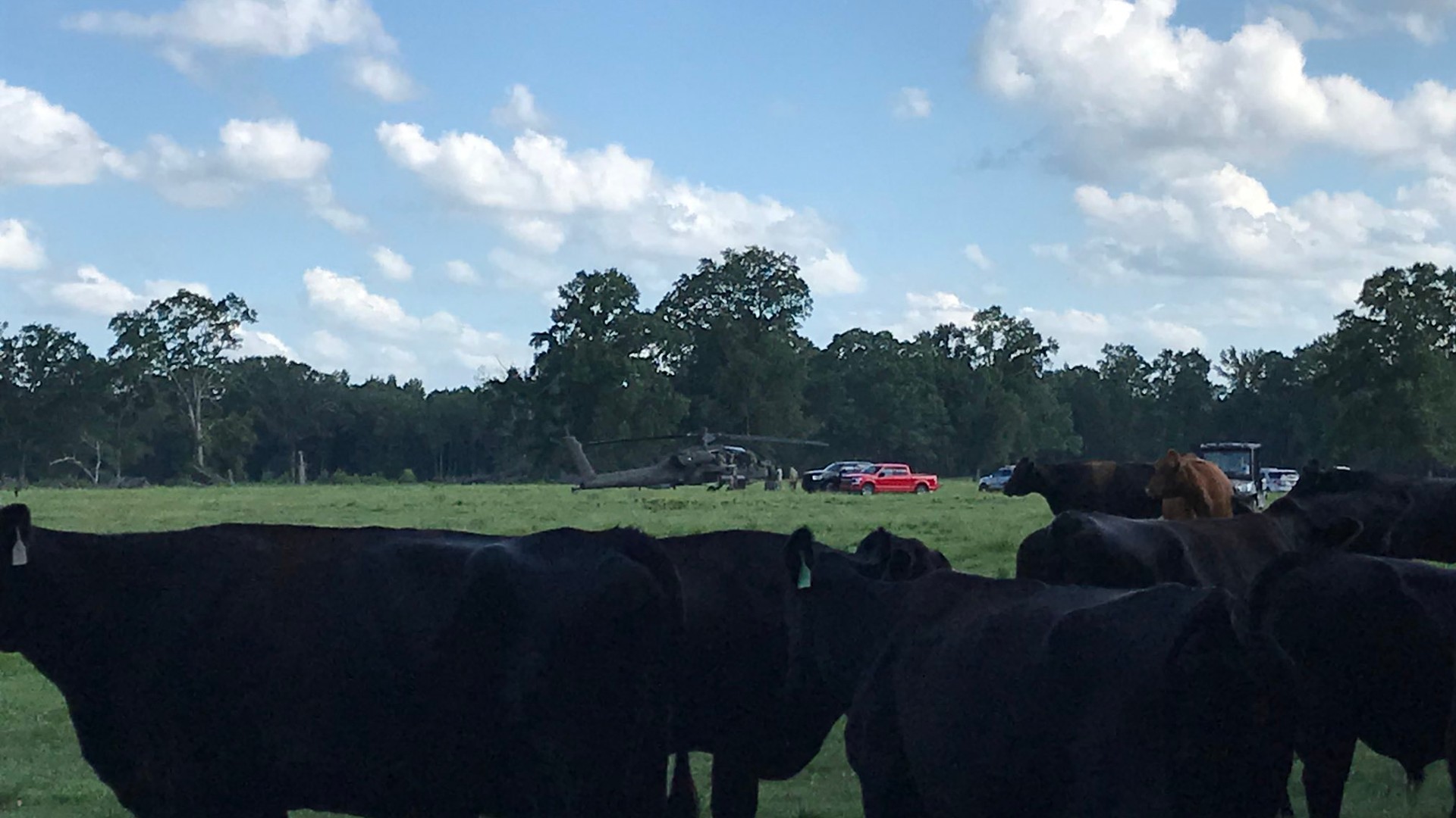 Apache helicopter makes emergency landing in cow pasture