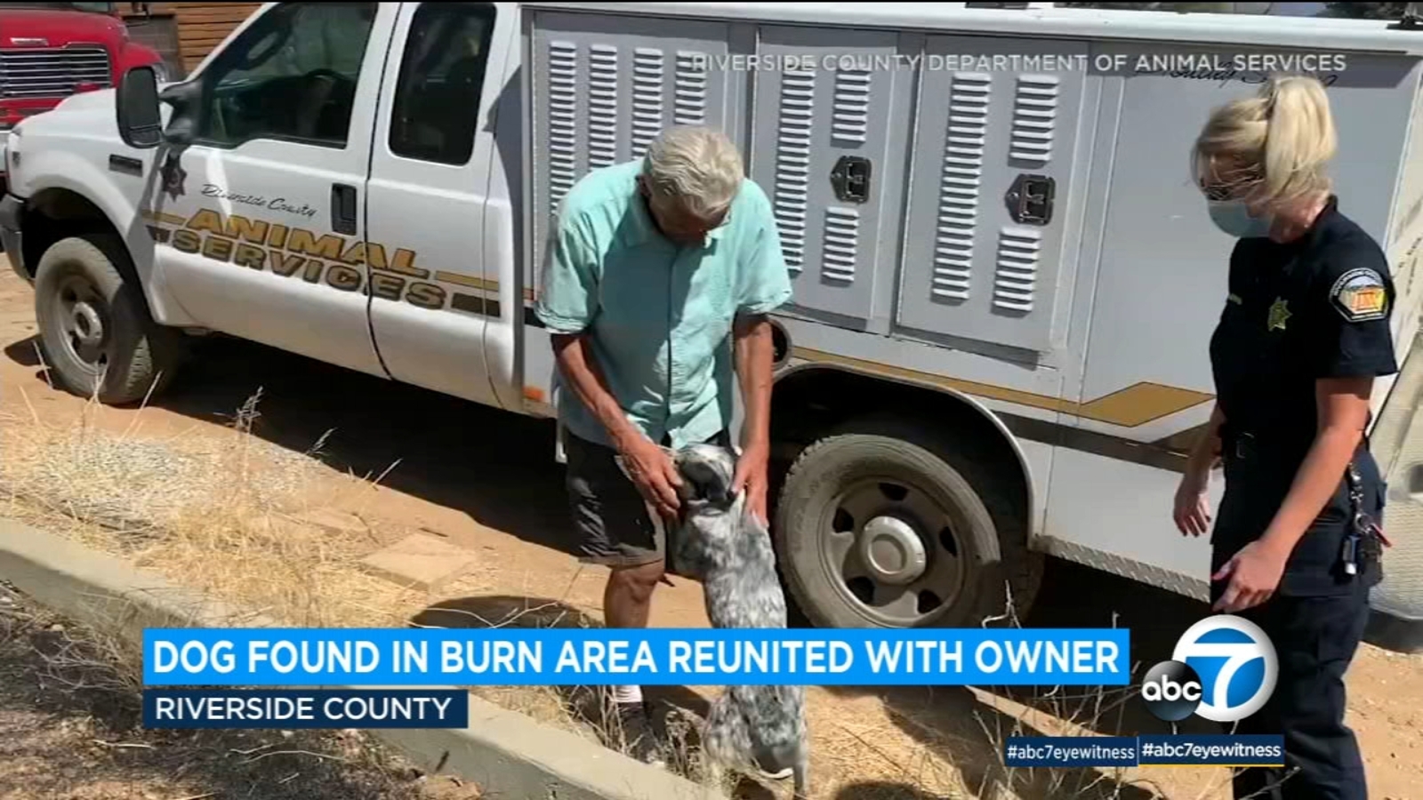 Man reunited with dog he thought had died in Apple Fire ABC7 Los Angeles