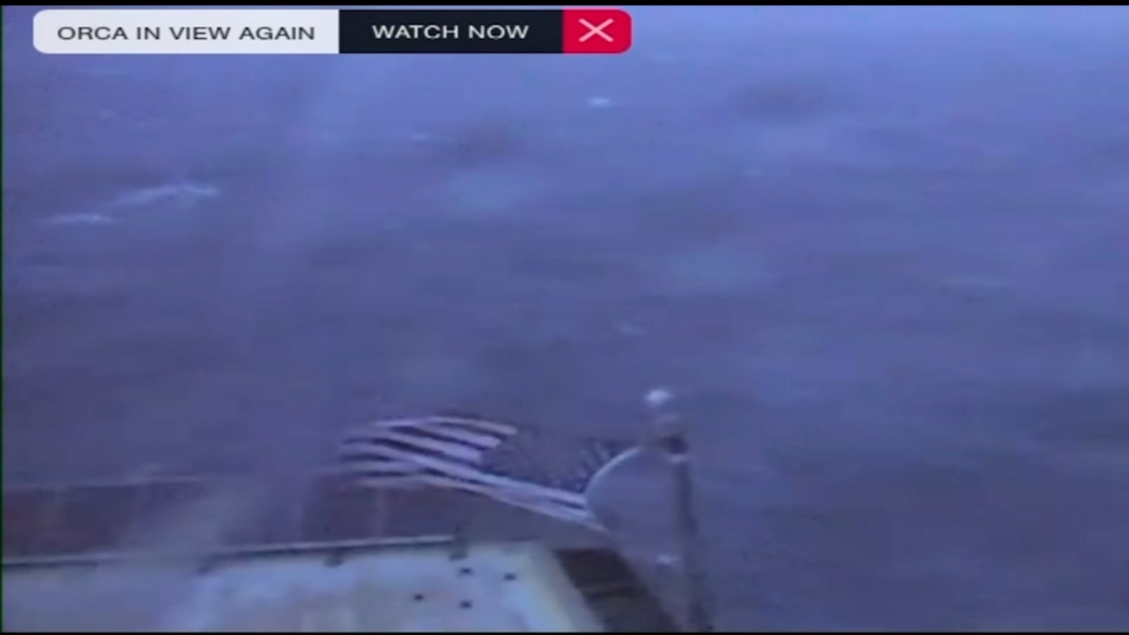 Frying Pan Tower auctioning off American flag to benefit those hit