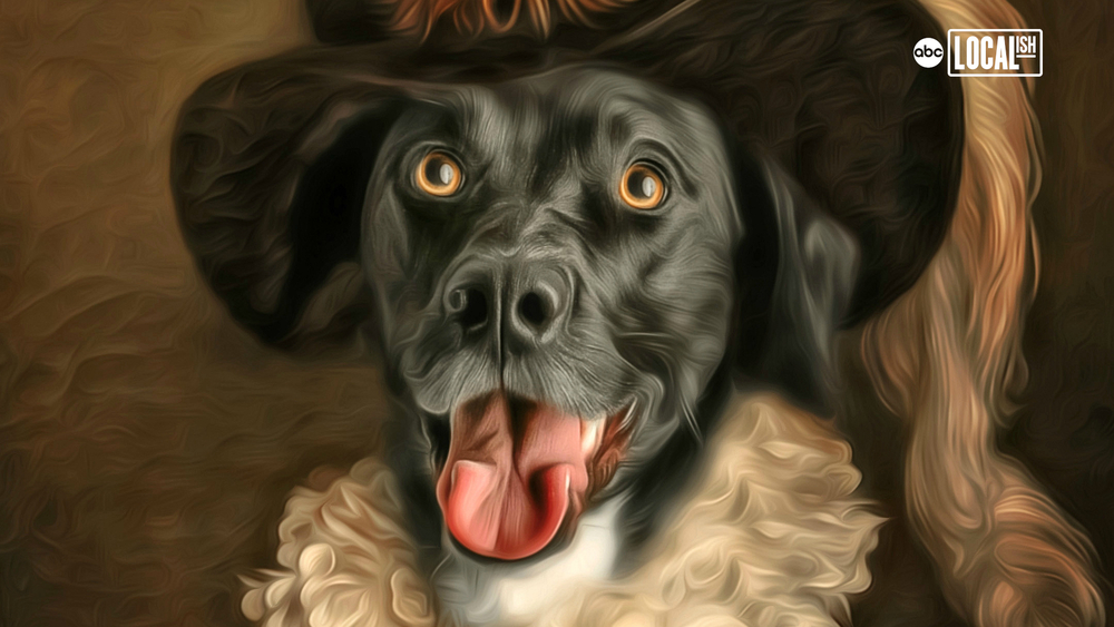 Photographer turns photos of shelter dogs into digital art to promote adoption