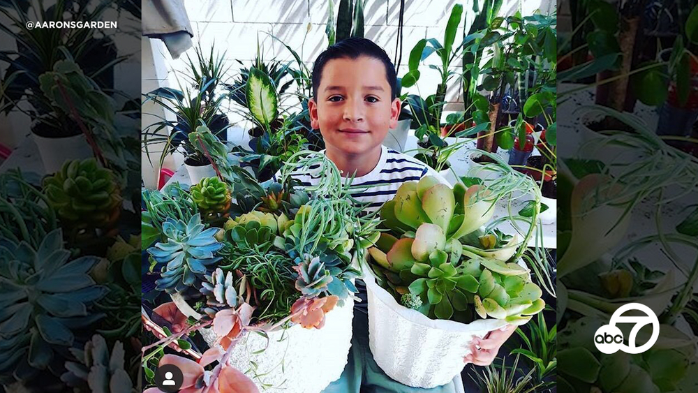East LA boy starts plant business to help single mom
