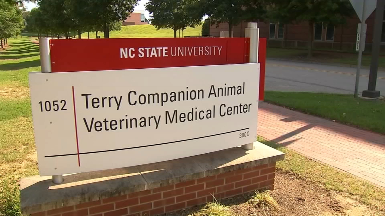 Pet owners react after news dog that died had novel coronavirus
