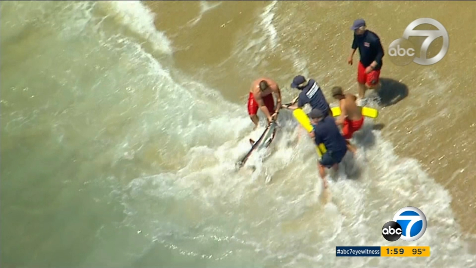 Shark captured by OC lifeguards near Balboa Pier as beachgoers look on