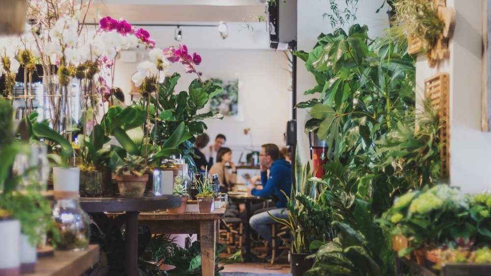 Family-owned flower shops partner to debut floral cafe