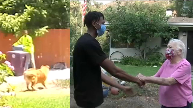 Good boy! Pet dog helps save Mission Viejo family from house fire ...