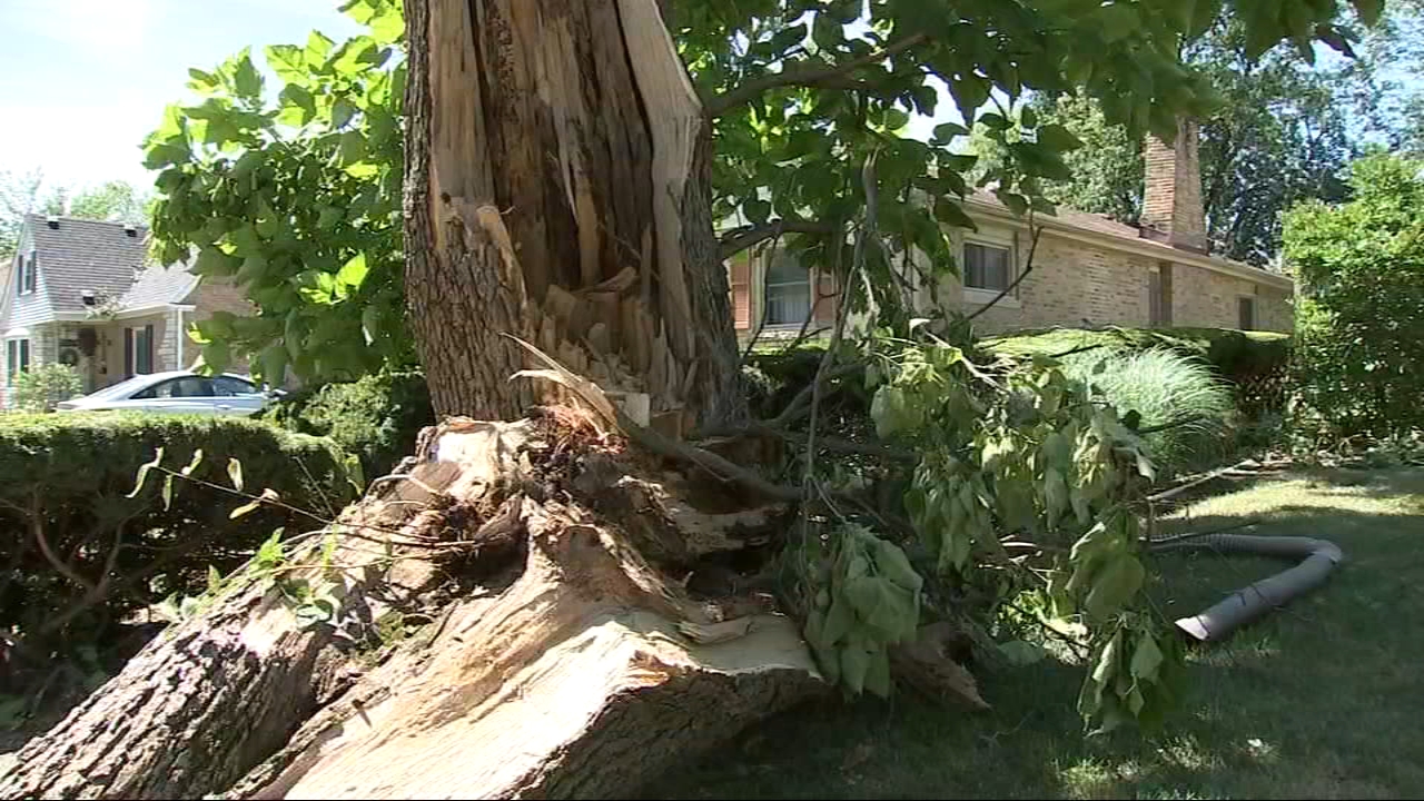 Cook County storm damage resource center open this week