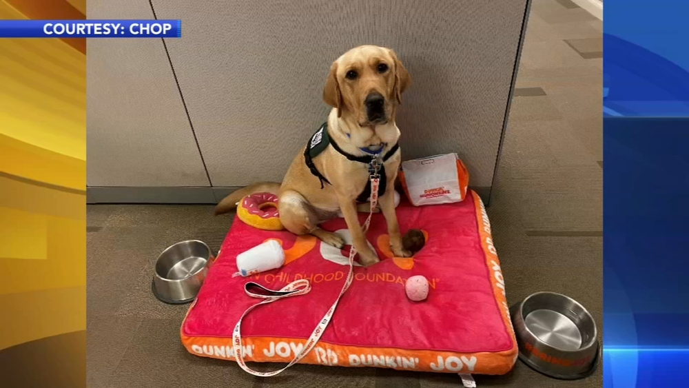 CHOP welcomes first facility dog