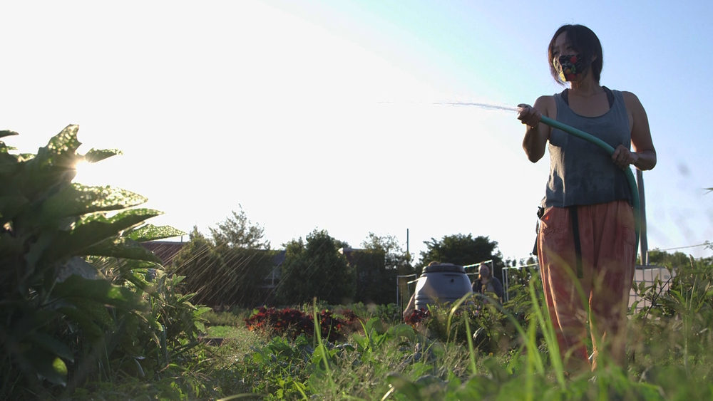 This is Chicago's first Japanese heritage farm