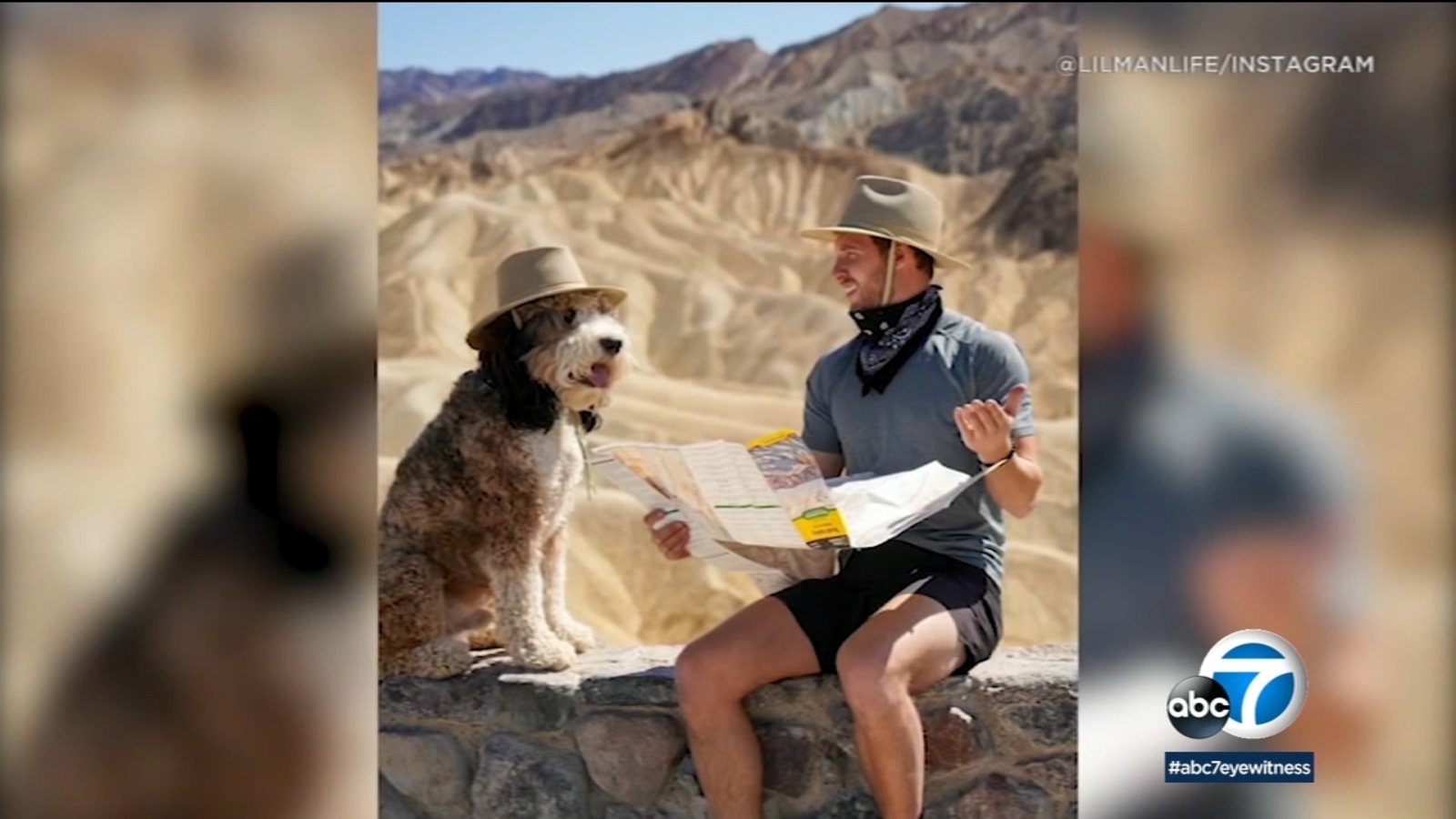 Therapy dog seen in viral video still lending a helpful paw after