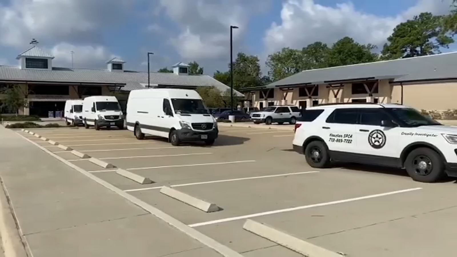 Houston SPCA takes in 90 animals from a Lake Charles Houston SPCA takes in 90 animals from a Lake Charles