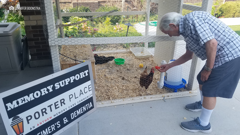 Chickens help with memory support at Tinley Park care facility
