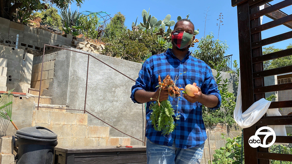 East LA gardener turns concrete backyard into a 'food forest'