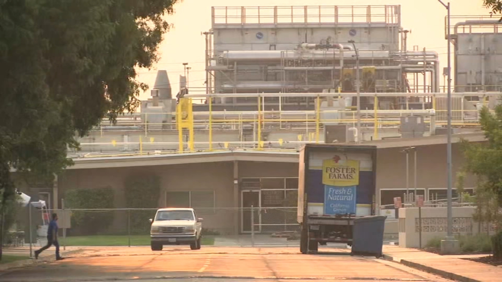Foster Farms Livingston plant shuts down for deepcleaning ABC30 Fresno