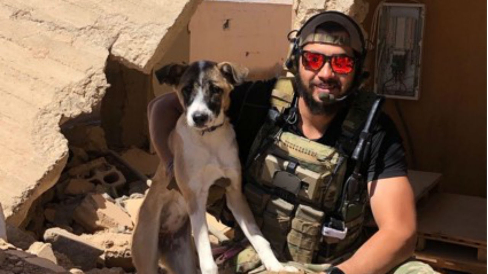 Soldier pleads for help to save dog stuck at JFK Airport