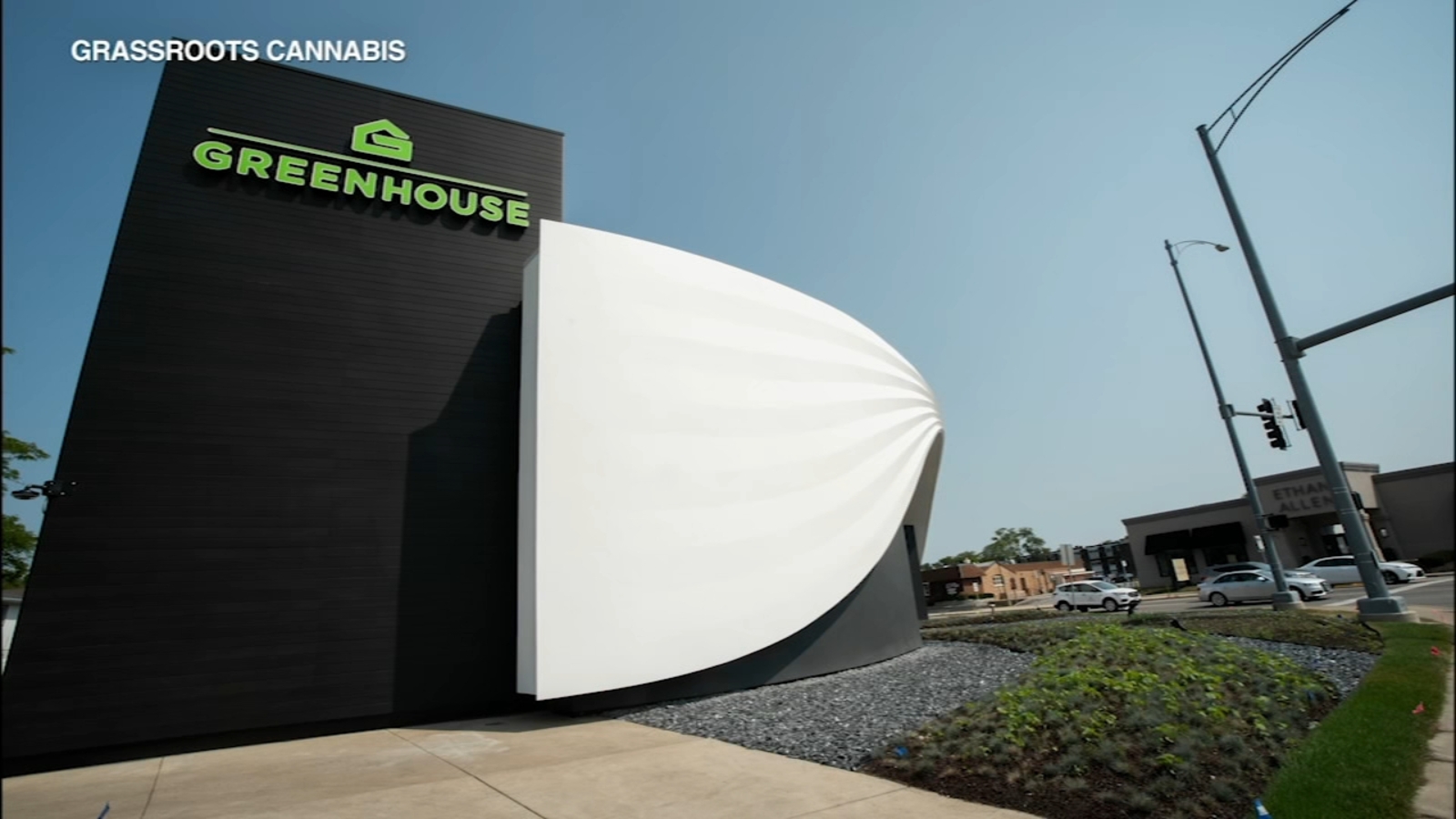 Marijuana dispensary from Greenhouse opening in Skokie with Blues