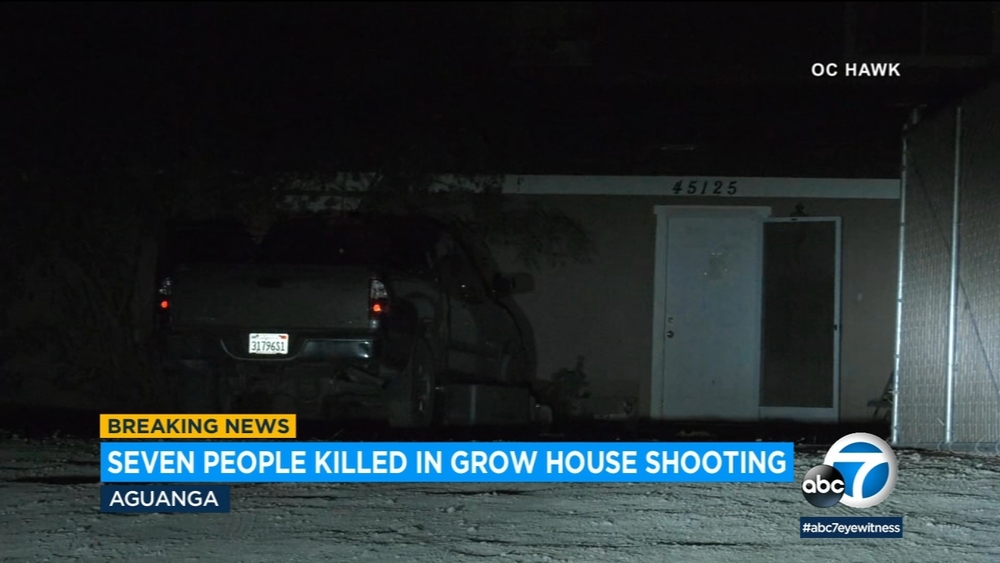 7 shot to death at illegal marijuana grow in Riverside County
