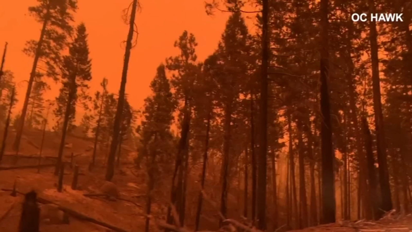 Creek Fire 182,225 acres burned, 6 containment, new evacuations