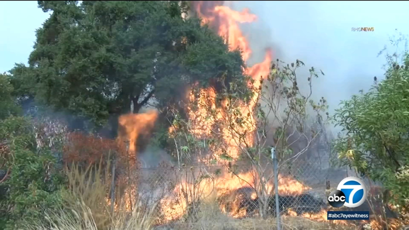 Bobcat Fire: Arcadia residents ordered to evacuate amid 'dangerous'  conditions as blaze burns more than 33K acres - ABC7 Los Angeles