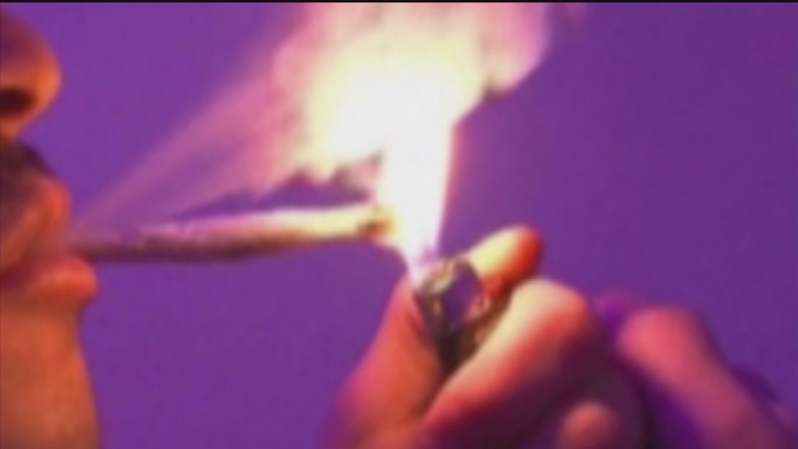 Group to hand out free marijuana during Presidentelect Donald Trump's