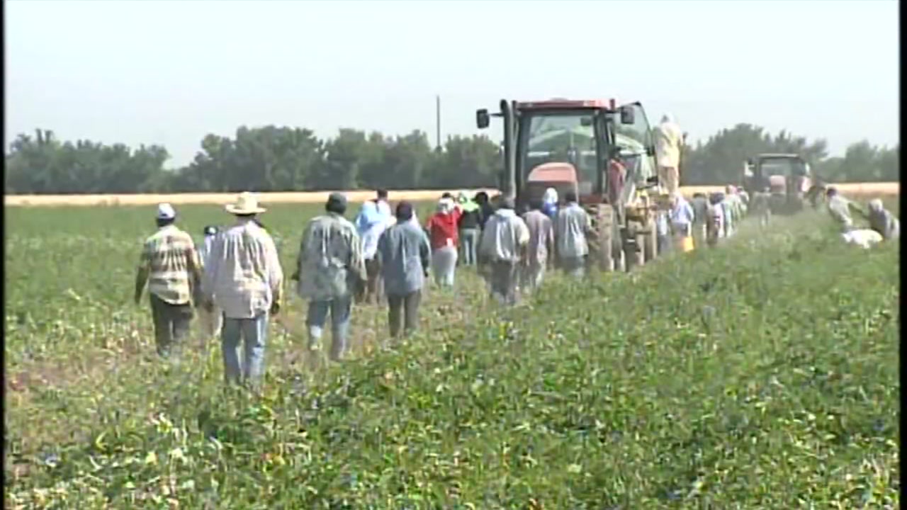 Vulnerable farmworkers wait for Newsom to sign relief bill