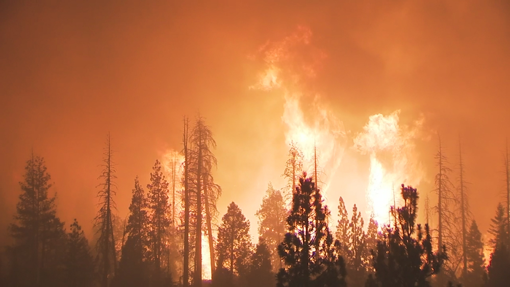 Small business helps wildfire victims, one t-shirt at a time