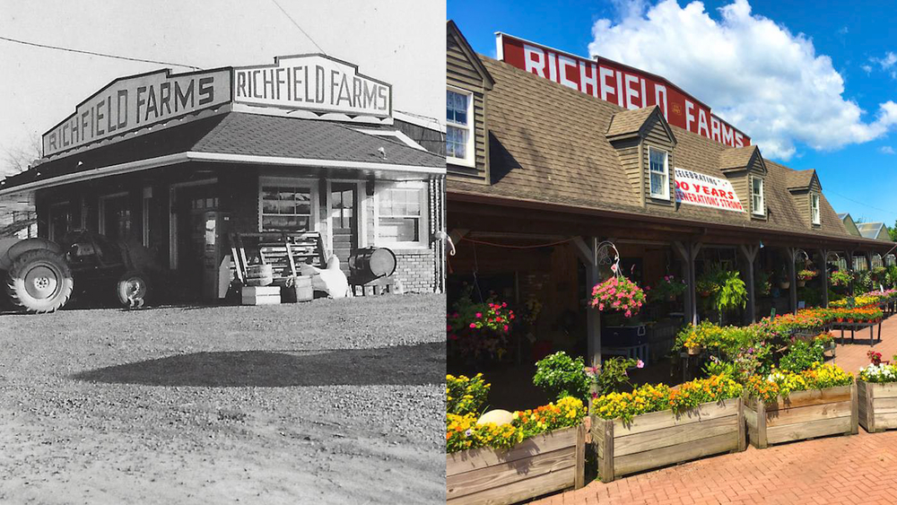 103-year-old family farm in New Jersey survives pandemic