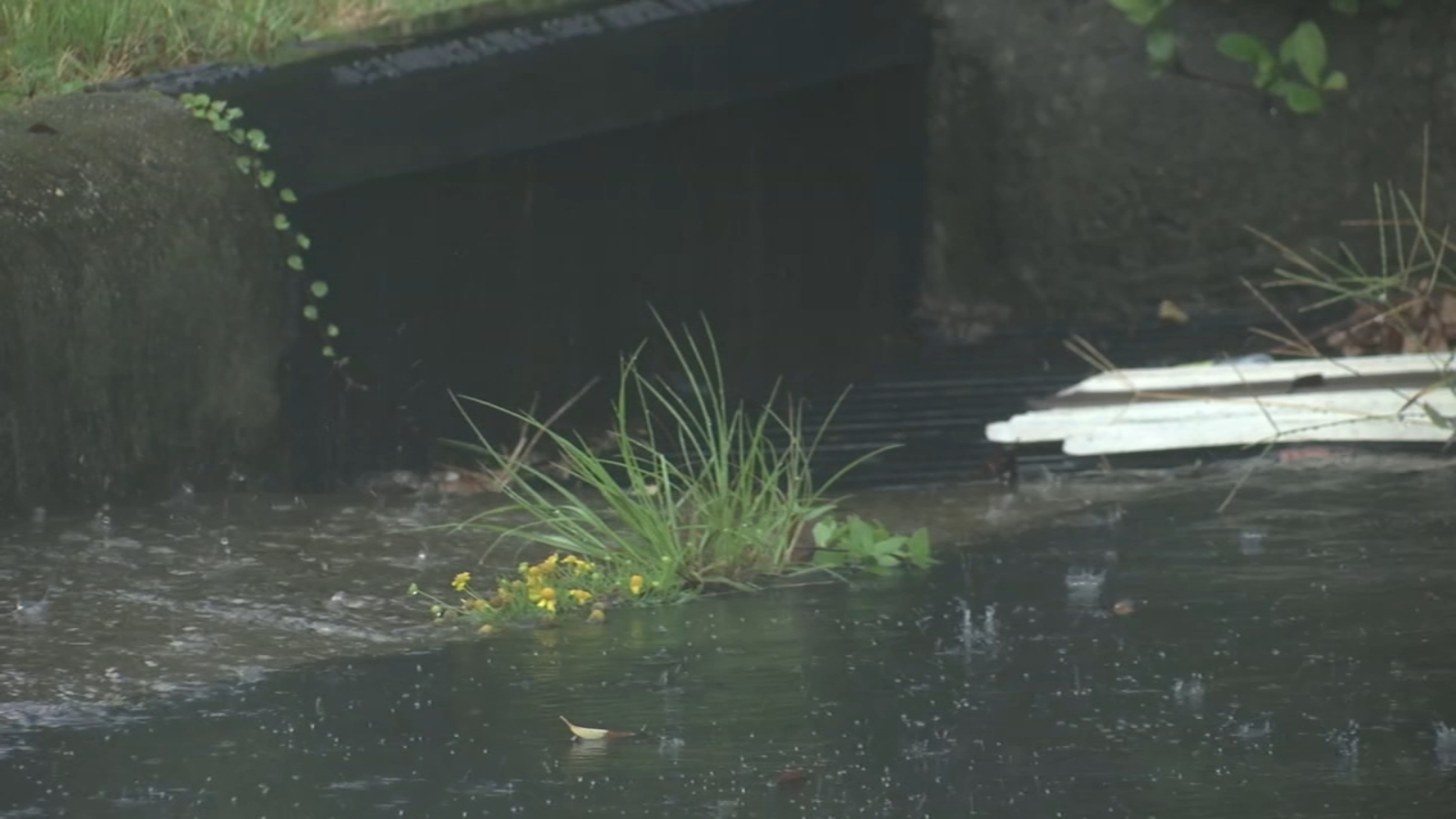 NC weather Hurricane Sally remnants move out of central North Carolina