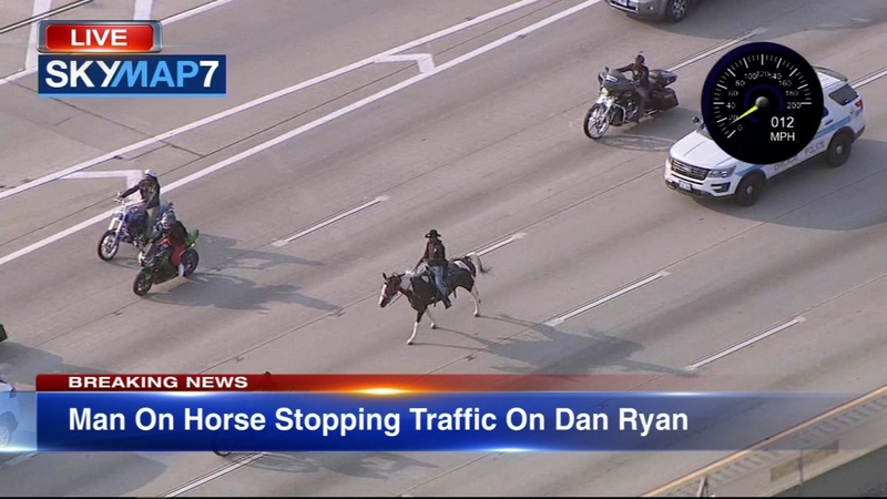 Chicago S Dreadhead Cowboy Rides Horse On Dan Ryan Expressway Faces 3 Charges From Illinois State Police Abc7 Chicago