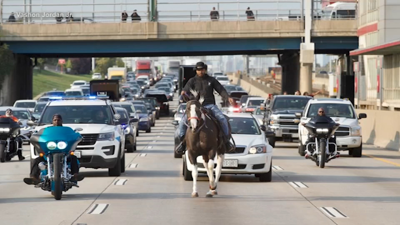 Dreadhead Cowboy rides horse on Dan Ryan Expressway