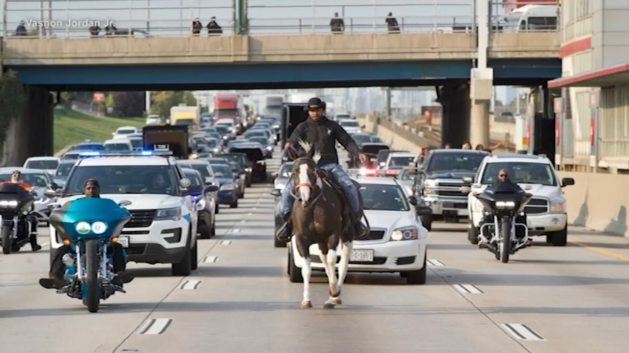 Dreadhead Cowboy rides horse on Dan Ryan Expressway