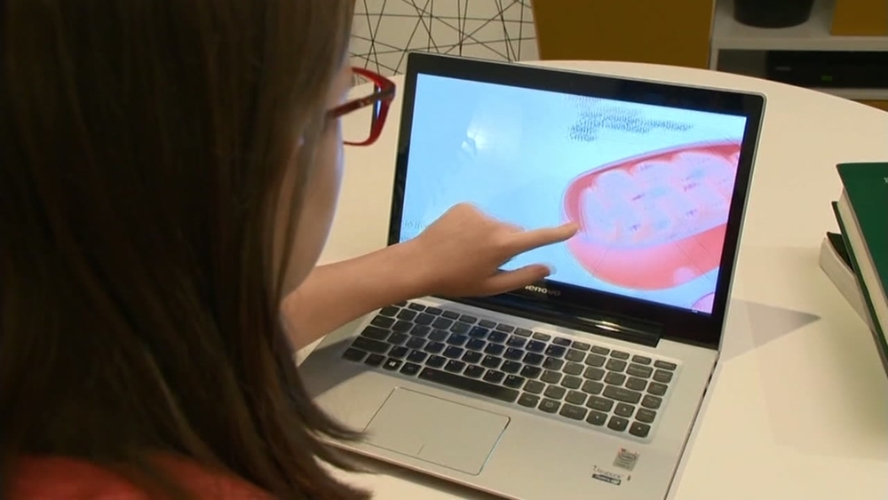 Online learning not ideal for all students, experts say