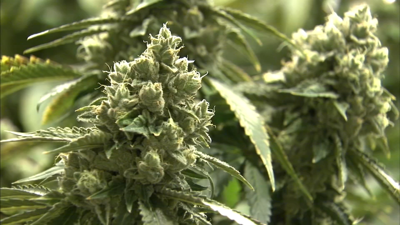 Illinois marijuana dispensary application lottery changes announced by Gov. Pritzker