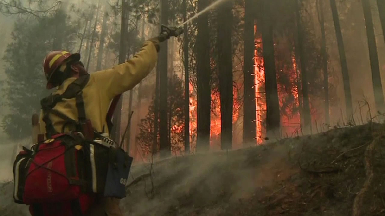 Cal Fire Seasonal Firefighter Work Schedule