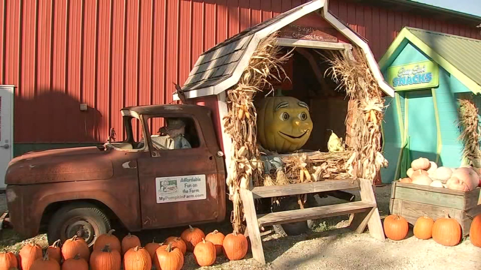 Illinois COVID 19 Today IL releases Halloween guidelines as state