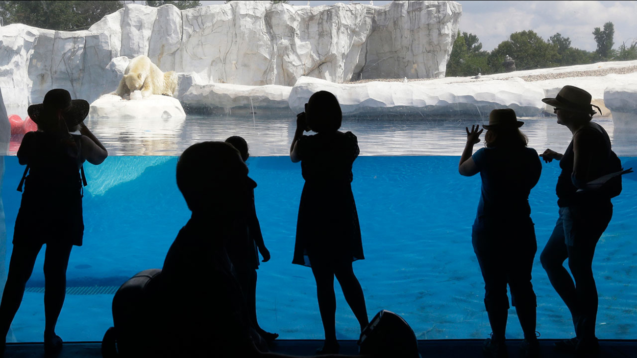 Detroit Zoo